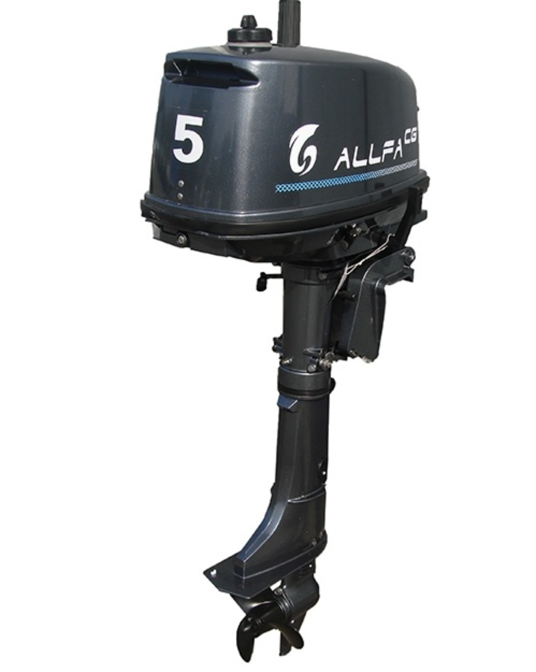T 1 cg