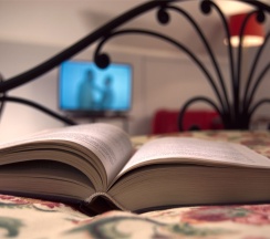 Двухместный номер Делюкс с 1 кроватью в Villa a la Russe