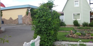 Кулунда: Мини-отель Алтай