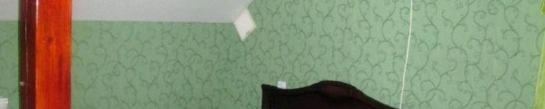 Одноместный номер в Рябинушка