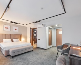 Номер полулюкс с 1 двуспальной кроватью в White Hill Hotel