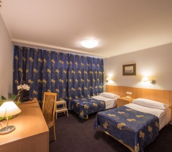 Стандарт с двумя кроватями для людей с ограниченными возможностями (I категория) в Москва