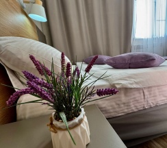 Стандарт плюс одноместный с большой кроватью в Высотник