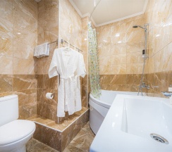 Премиум с Балконом в Александр Hotel