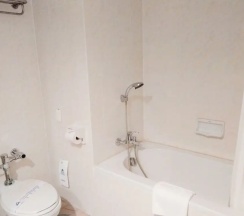 Одноместный люкс в Diamond Plaza Hotel Suratthani