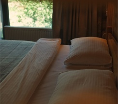 STANDARD+ ROOM в Skazka Lodge