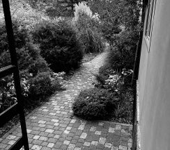 Стандартный трёхместный номер в Бирюза-Юг