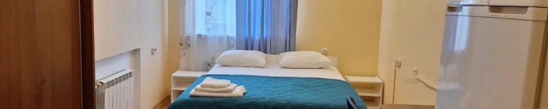 Двухместный номер Эконом в Smart Hotel KDO Омск