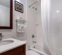 Четырёхместный номер Standard 2 отдельные кровати в Avion Inn Near LGA Airport, Ascend Hotel Collection