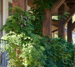 Воздух в Пентакли