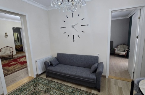 Грузия, Кутаиси: Апартаменты Апартаменты Apartment Fer House