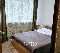 Двухместный эконом              (в корпусах №1 №3) в Лесное поместье