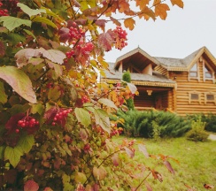 Семейный в Ярославна