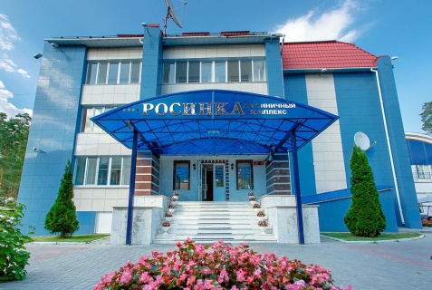 Семеновка: Отель Росинка