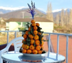 2-местный номер Супериор с балконом в Петрович