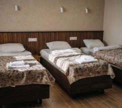 Трехместный Стандарт в Крыжовник