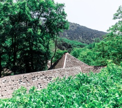 Джуниор сюит дом №5 в Лесная заимка