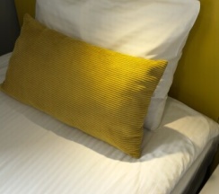 Эконом (в блоке) в Ласка