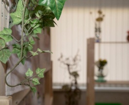 Кровать в 6-местном общем номере в Green