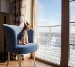 Номер с видом на Оку и с балконом в Гуляй-город