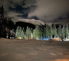 Двухместное шале с красивым видом из окна двуспальная кровать в Forest house resort