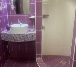 Делюкс 2-х местный без балкона в Диса