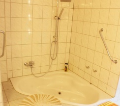 Апартаменты c 1 комнатой в Pension Pieschen Dresden