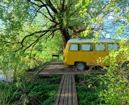Woody Yellow в Hippy Hotel