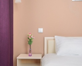 Стандарт 2-х местный с проекционным дизайном в Ring Road Hotel