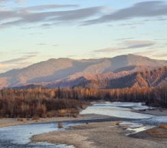 Четырёхместные апартаменты с 2 комнатами в Тихий берег
