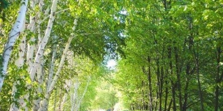 Растопуловка: Турбаза Волжанка
