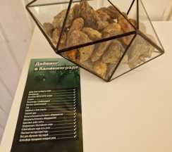 Барнхаус 2 в Кусто