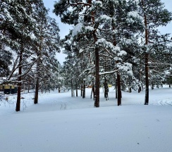 Большой дом с баней (12-местный) в Таулу Архыз
