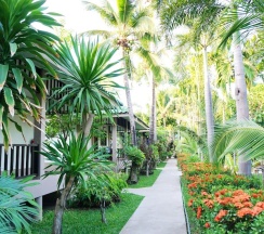 Бунгало Standard в Lamai Inn 99 Bungalows