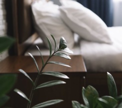 Двухместная студия двуспальная кровать в Автостоп