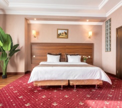 Двухместный номер Comfort с видом на город двуспальная кровать в Театр