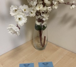 СТАНДАРТ в Баунти