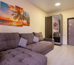 Семейный Трехместный в Видный