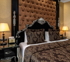 Люкс Superior Family в Buta