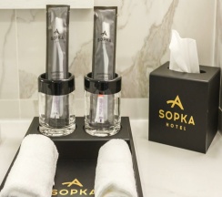 Двухместный номер Comfort 2 отдельные кровати в Sopka