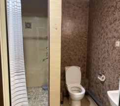 Двухместный номер Standard с балконом и с красивым видом из окна (двуспальная кровать) в Михайловские бани