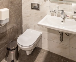 АМАКС Бизнес двухместный в Амакс Сити-отель