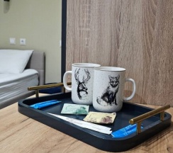 Стандарт двухместный в Iterra hotel
