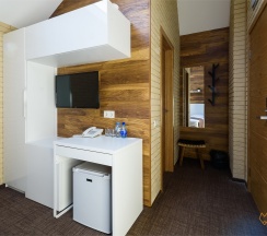 Двухместный люкс c 1 кроватью или 2 отдельными кроватями в Fox inn hotel