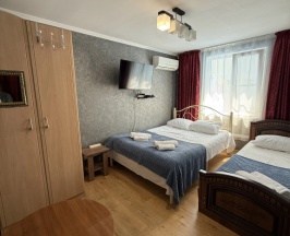 Трёхместный номер Economy в Панорама