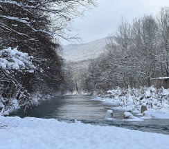 Дом в У реки