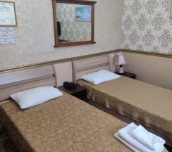 Двухместный номер Бюджетный 2 отдельные кровати в Central