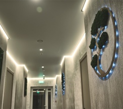 Стандарт в Karelia club family