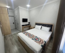 Номер Standard в Отель DSF GARDEN HOTEL
