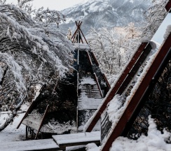 Двухместный номер с двуспальной кроватью с видом на горы в Pine River Красная Поляна